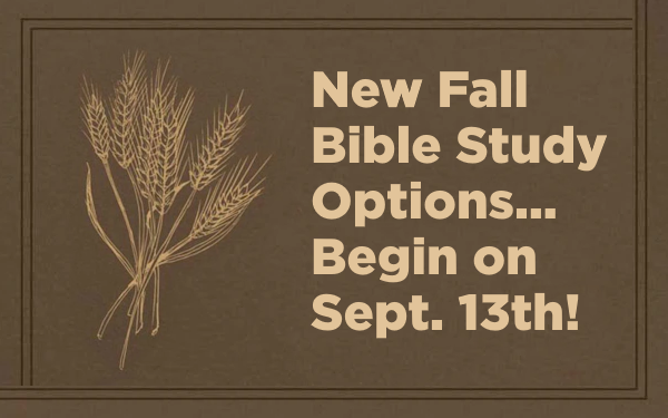 fall bible study